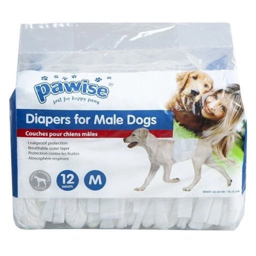Köpek Eğitim - Emniyet 
