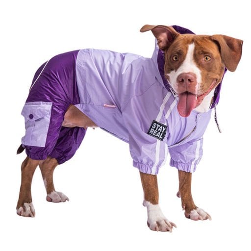 Köpek Giyim Kıyafet