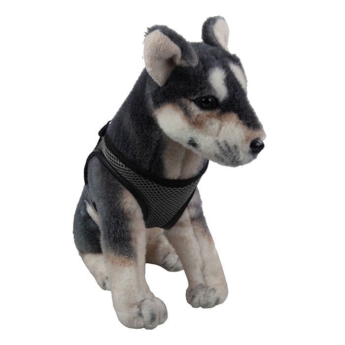 Oripet Siyah Köpek Göğüs Tasması Mini