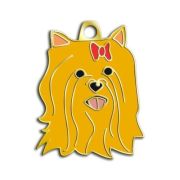 Dalis Altın York Shire Terrier Köpek Künyesi (Kizil)