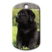 Dalis Pet Tag - Siyah Labrador Resimli Köpek Künyesi