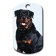 Dalis Pet Tag - Rottweiler Resimli Köpek Künyesi