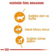 Royal Canin Intense Beauty Gravy Pouch 85 gr x 12 adet