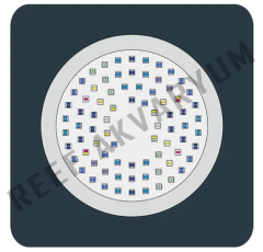 IKIGAI v2 Led Armatür ve Aquareef RMS Kit - Deniz Akvaryumu