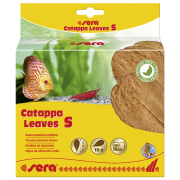Sera Catappa Yaprağı S 14 Cm 10 Adet