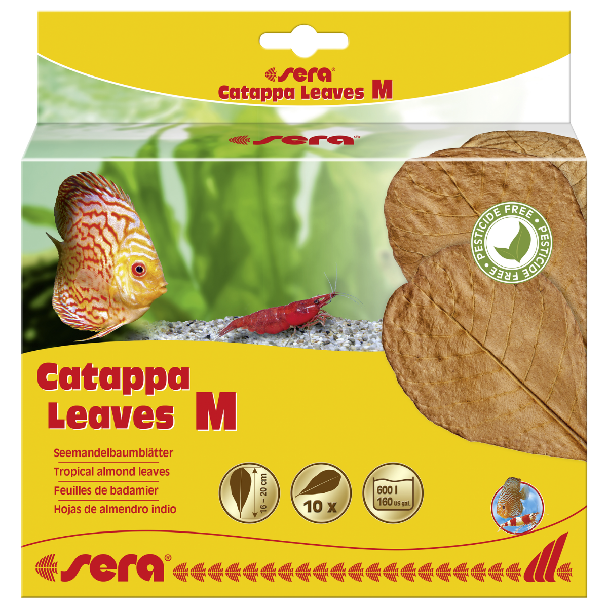 Sera Catappa Yaprağı M 18 Cm 10 Adet