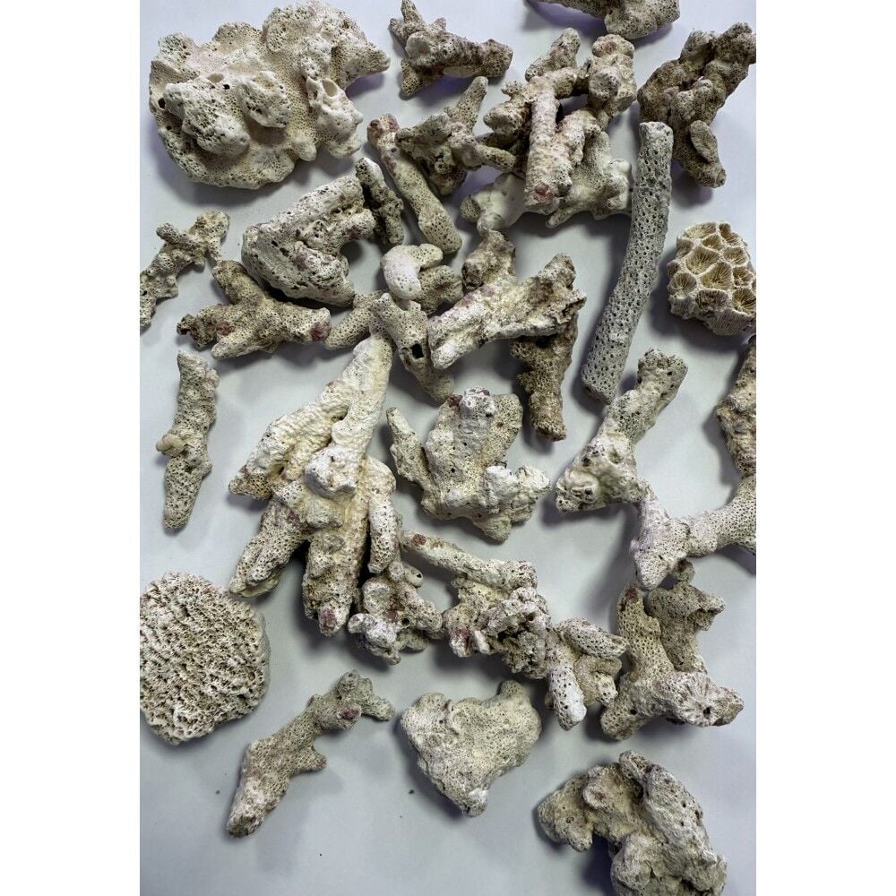 ZeoChem - Coral - Size: 2-6cm - 5 kg - Bio Filter and Ca Reactor Media