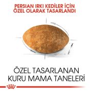 Royal Canin Persian 4 Kg