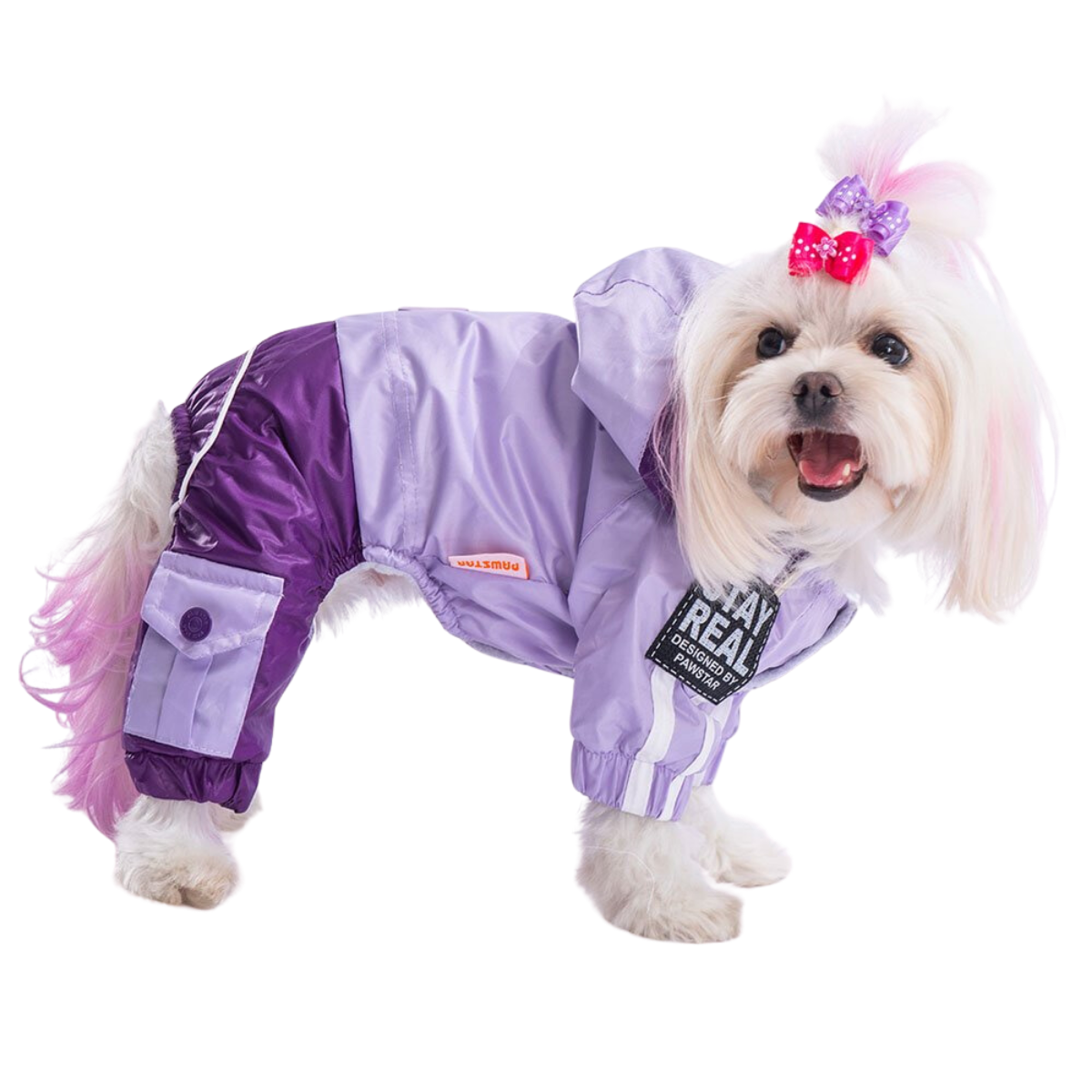 PawStar Lila Mor Bicolor Küçük Irk Köpek Tulum Yağmurluk XLarge