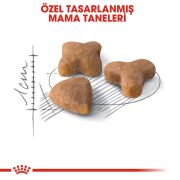 Royal Canin Sensible 33 4 kg