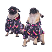 PawStar Cool Küçük Irk Köpek Yağmurluk Large
