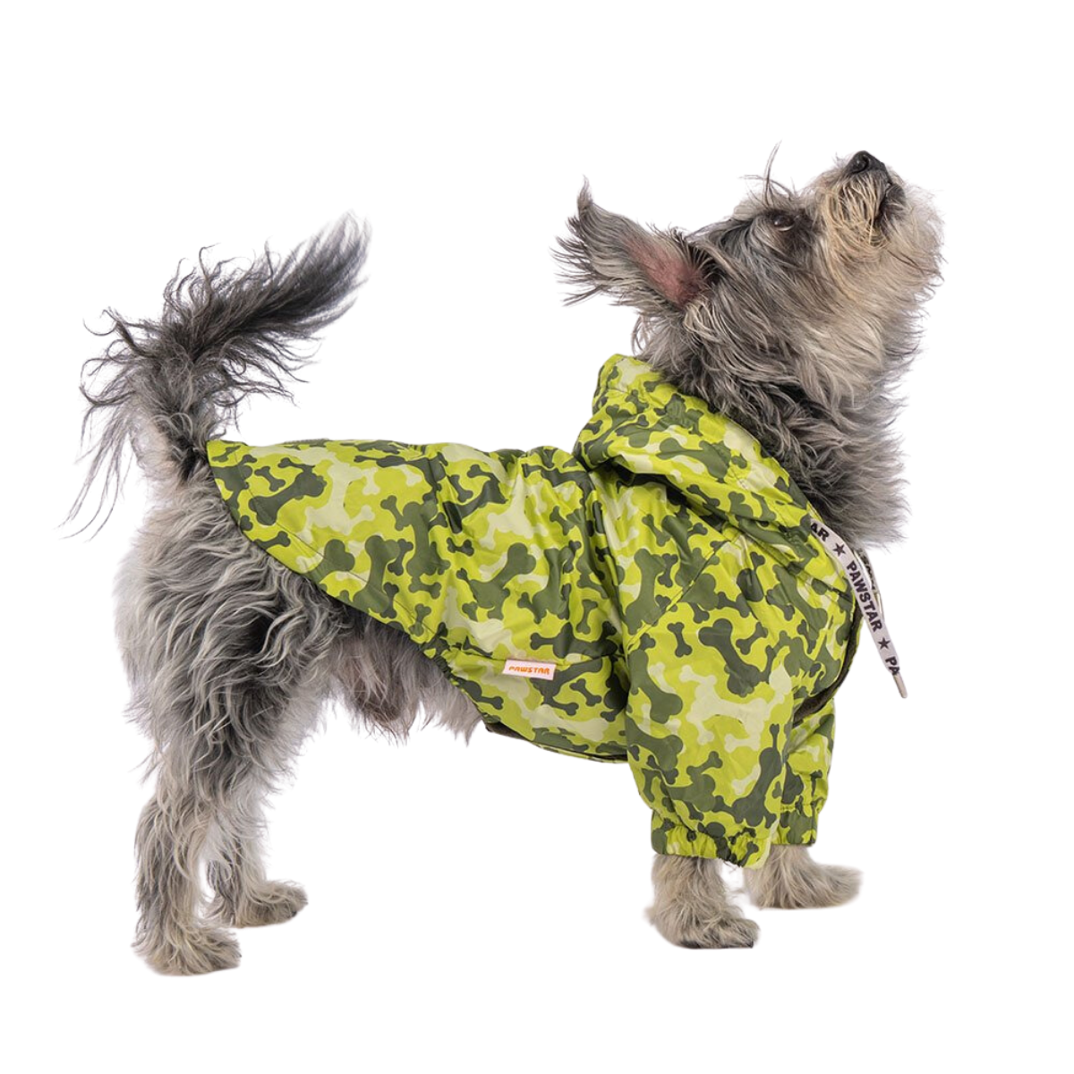 PawStar GreenOssa Küçük Irk Köpek Yağmurluk Large