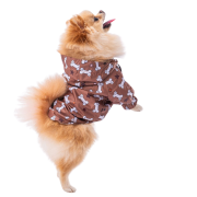 PawStar StellaOs Küçük Irk Köpek Yağmurluk Large