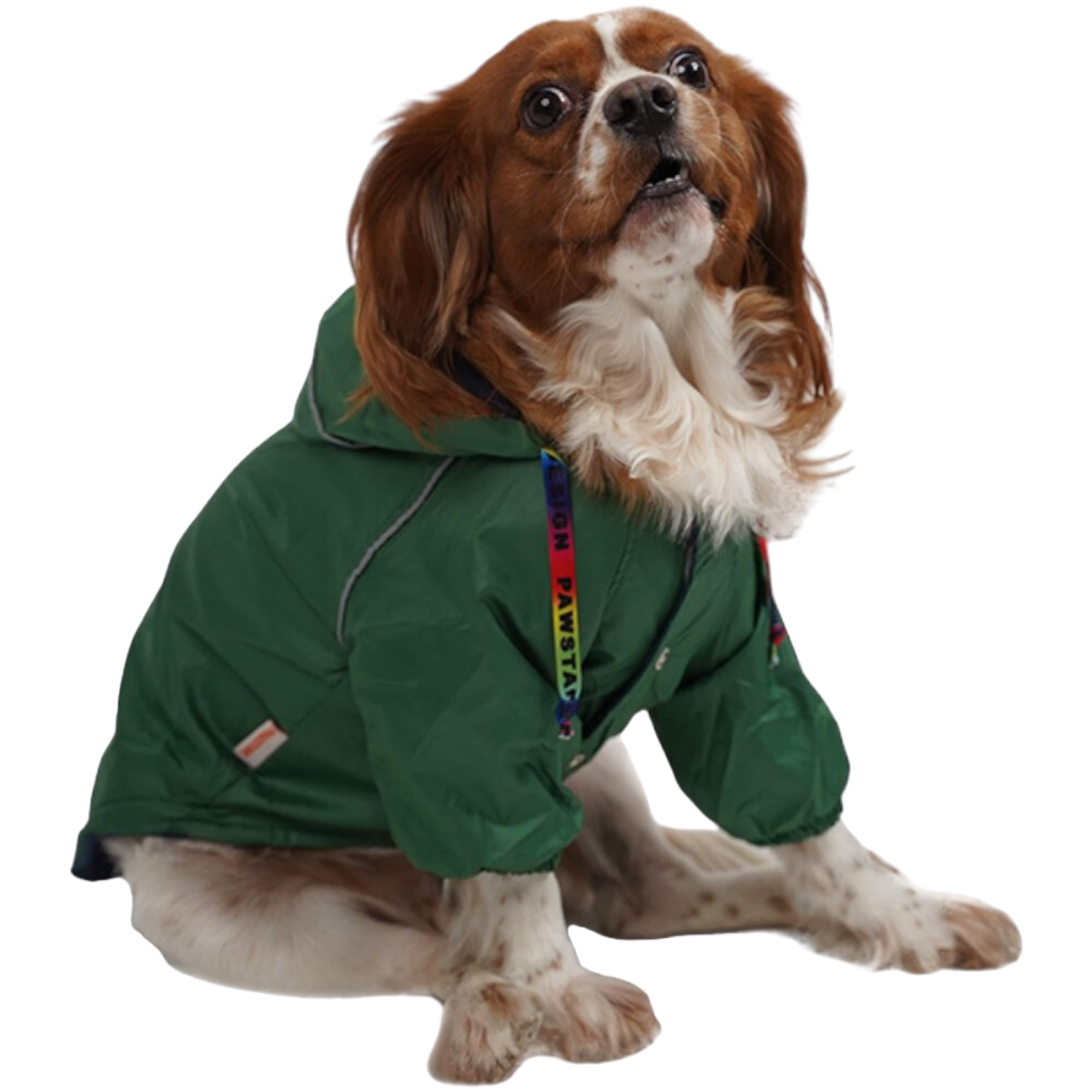 PawStar Yeşil Pluvia Küçük Irk Köpek Yağmurluk XLarge