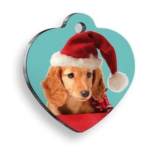 Pet Tag Art Blue Dog Kalp Köpek Künyesi