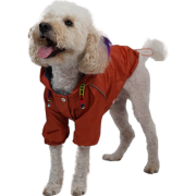 PawStar Turuncu Pluvia Küçük ve Orta Irk Yağmurluk Large