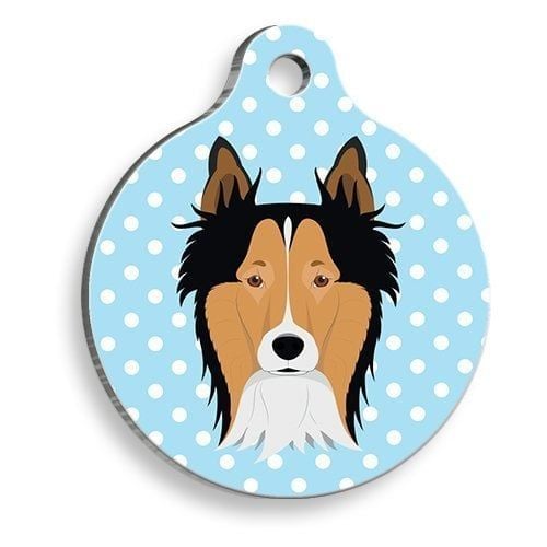 Pet Tag Art Mavi Puantiyeli Border Collie Yuvarlak Köpek Künyesi