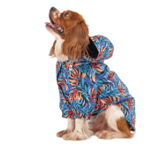 PawStar Autumna Köpek Yağmurluk Küçük ve Orta Irk 2XL