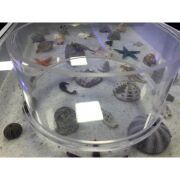 ZeoChem Coral Eye ( Mercan Gözetleme Camı ) 20 Cm