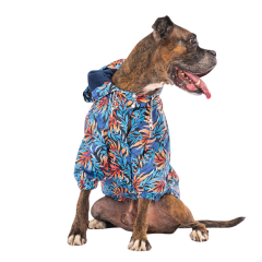 PawStar Autumna Büyük Irk Yağmurluk 5XL
