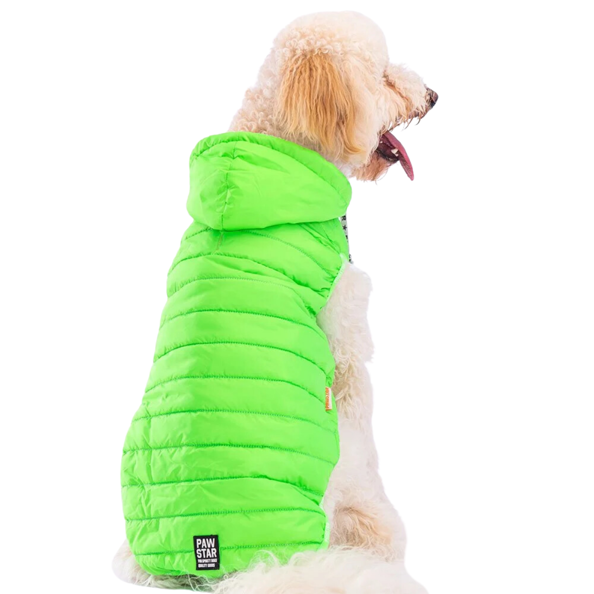 PawStar Neon Yeşil Railway Büyük Irk Yelek 5XL