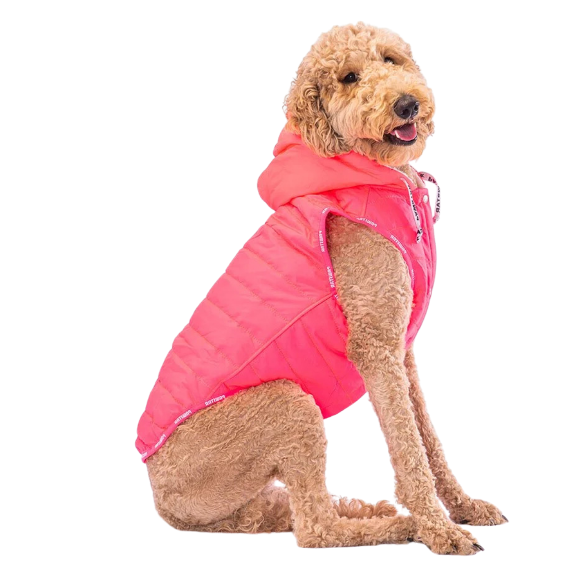 PawStar Neon Fuşya Railway Büyük Irk Yelek 6XL