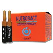 EQUO - NUTROBACT ( BAKTERİ YEMİ )
