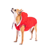 PawStar Kırmızı Railway Küçük ve Orta Irk Yelek 2XLarge