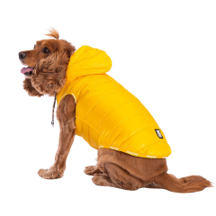 PawStar Neon Sarı Railway Küçük ve Orta Irk Yelek 2XLarge