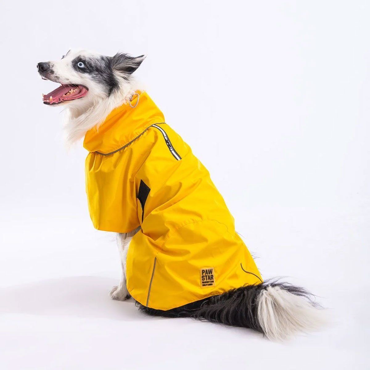 PawStar Sarı Colombia Yağmurluk Small