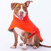 PawStar Turuncu Colombia Yağmurluk XSmall