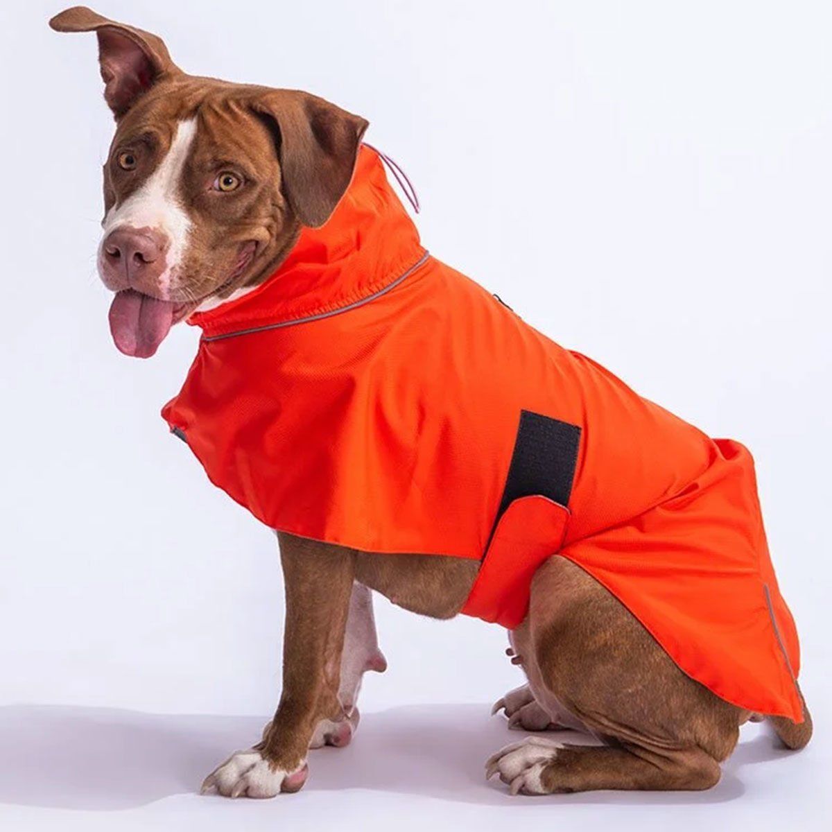PawStar Turuncu Colombia Yağmurluk XSmall