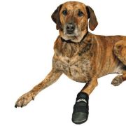 Trixie Neopren Köpek Patiği XXXL  Siyah 2 li