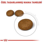 Royal Canin Hair Skin 2 kg Tüy Sağlığı Detekli Kedi Maması