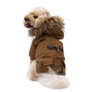 PawStar Camel Charles Küçük Irk Köpek Yağmurluk Large
