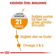 Royal Canin Hair Skin 2 kg Tüy Sağlığı Detekli Kedi Maması