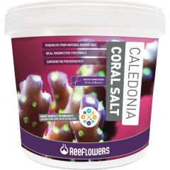 Reeflowers Coral Salt  | 22,5 kg