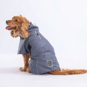 PawStar Koyu Gri Colombia Yağmurluk XSMALL
