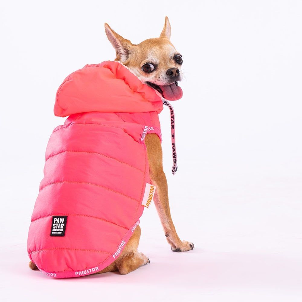 PawStar Neon Fuşya Railway Küçük Irk Köpek Yelek XLarge