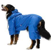 PawStar Muson Büyük Irk Mavi Köpek Yağmurluk 5XL