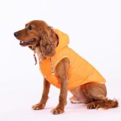 PawStar Neon Turuncu Railway Küçük Irk Yelek Xlarge