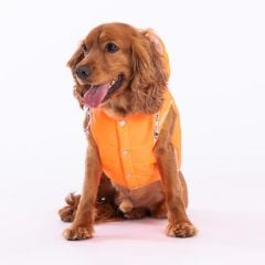 PawStar Neon Turuncu Railway Küçük Irk Yelek Xlarge