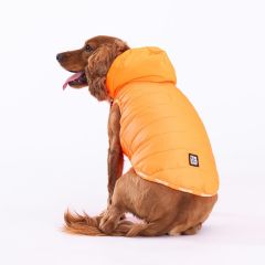 PawStar Neon Turuncu Railway Küçük Irk Yelek Xlarge