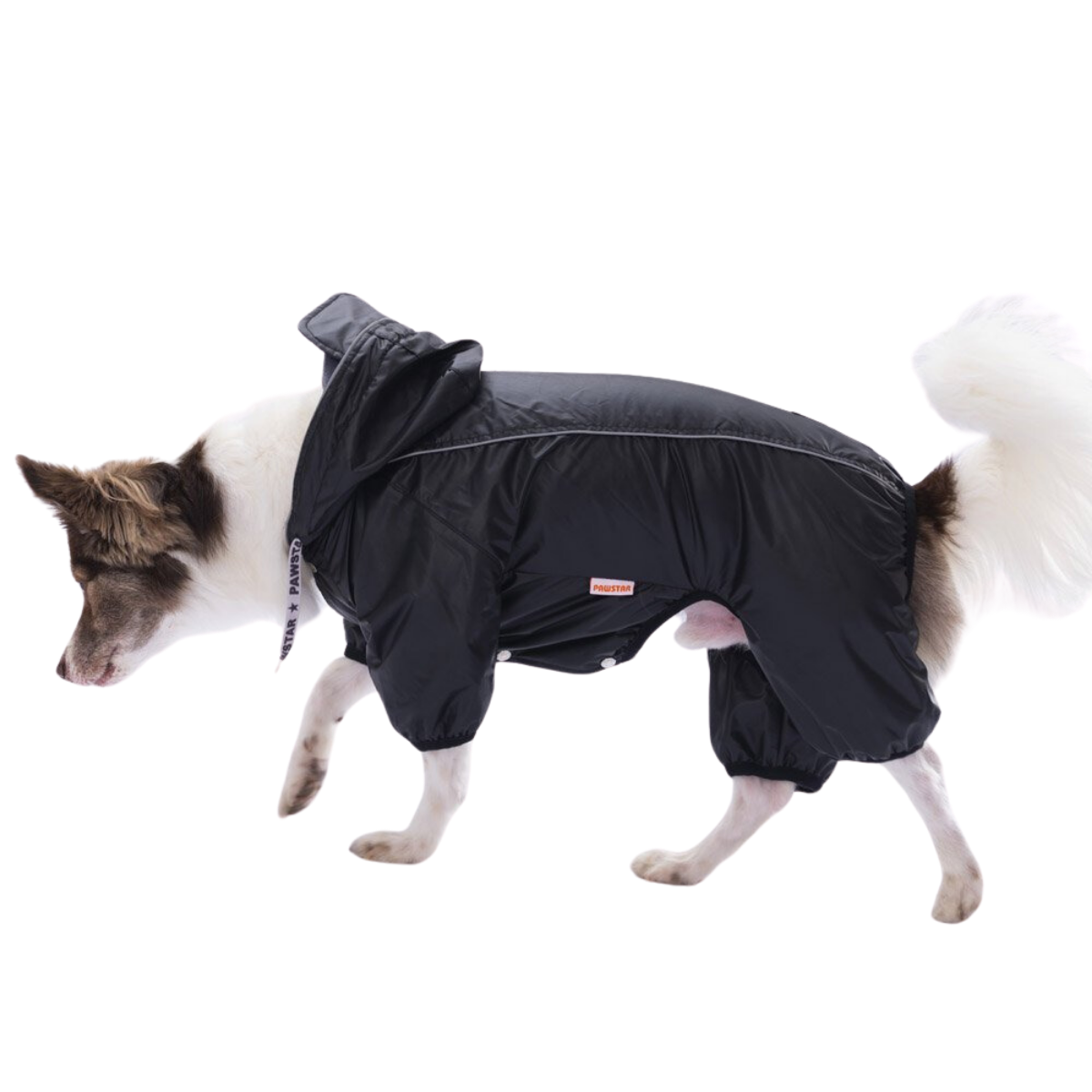 PawStar Siyah Muson Küçük Irk Köpek Tulum Yağmurluk Large