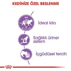 Royal Canin Sterilised Jelly 85 Gr x 12 Adet
