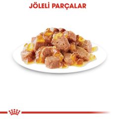 Royal Canin Sterilised Jelly 85 Gr x 12 Adet