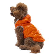 PawStar Turuncu Light Wave Küçük Irk Köpek Yelek Large