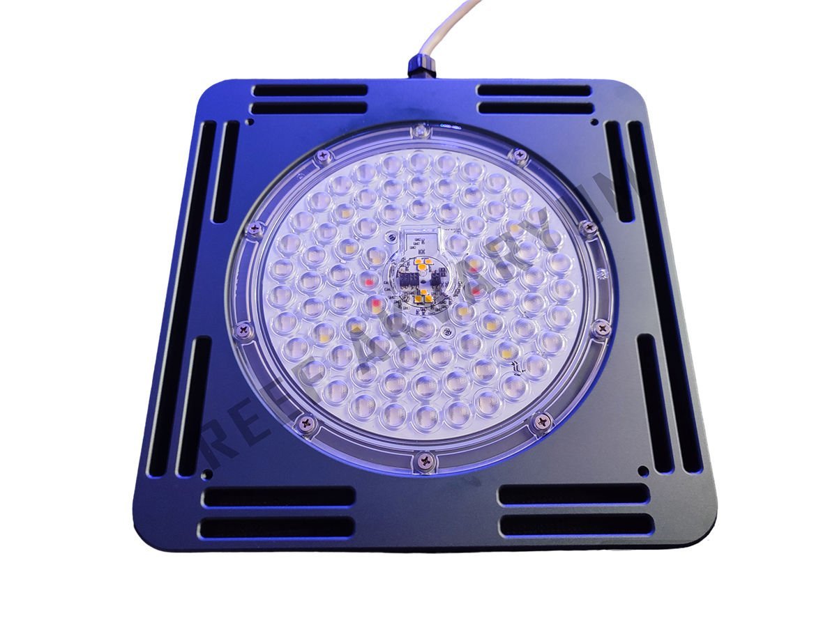 IKIGAI v2 Led Armatür - Deniz Akvaryumları