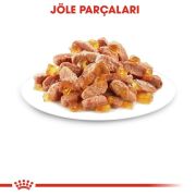 Royal Canin Kitten Jelly 85 Gr