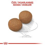 Royal Canin Maxi Adult 15 kg Köpek Maması